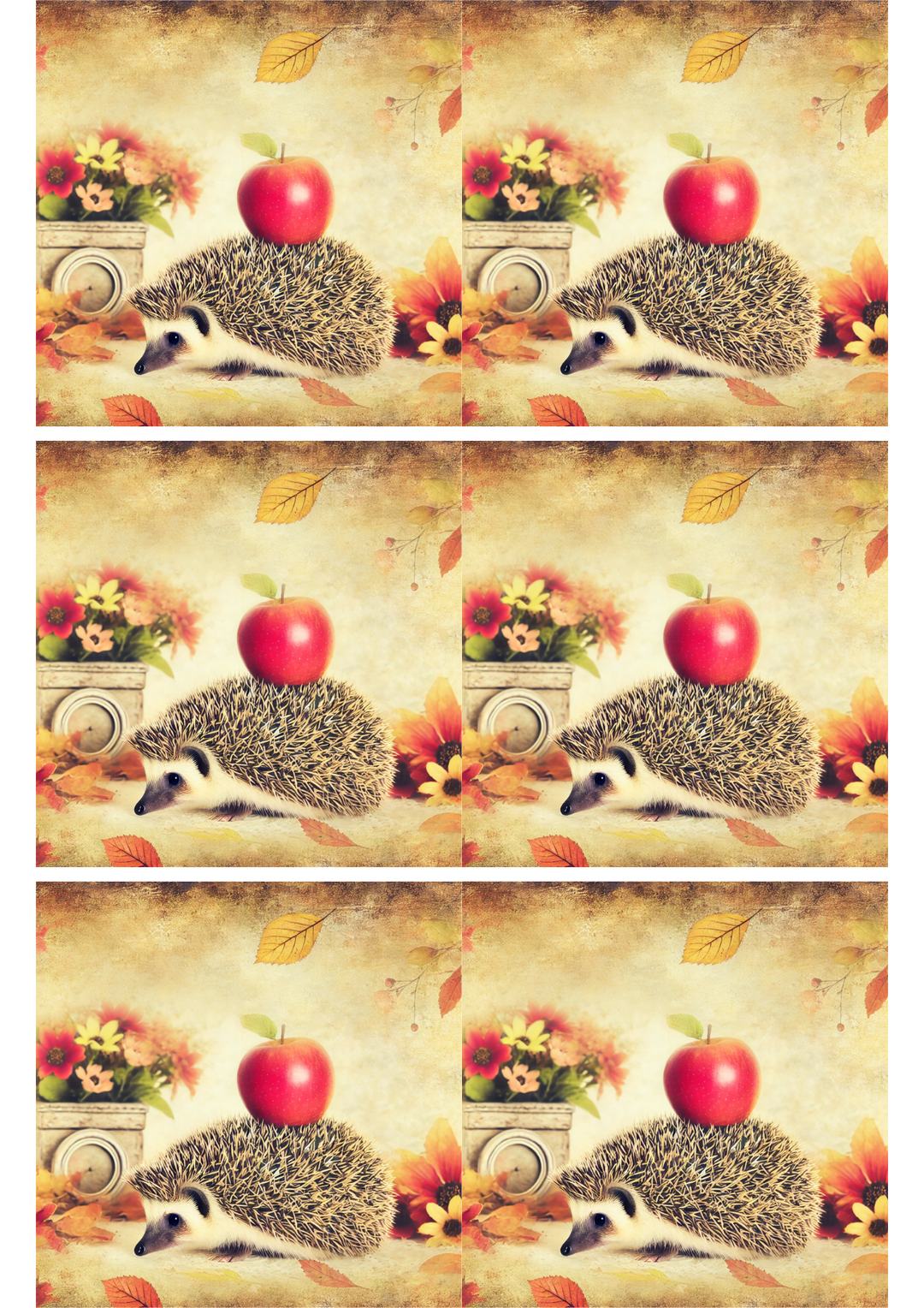 Reispapier für Decoupage-Igel- und Apfelcollage Kat. Nr. 2585