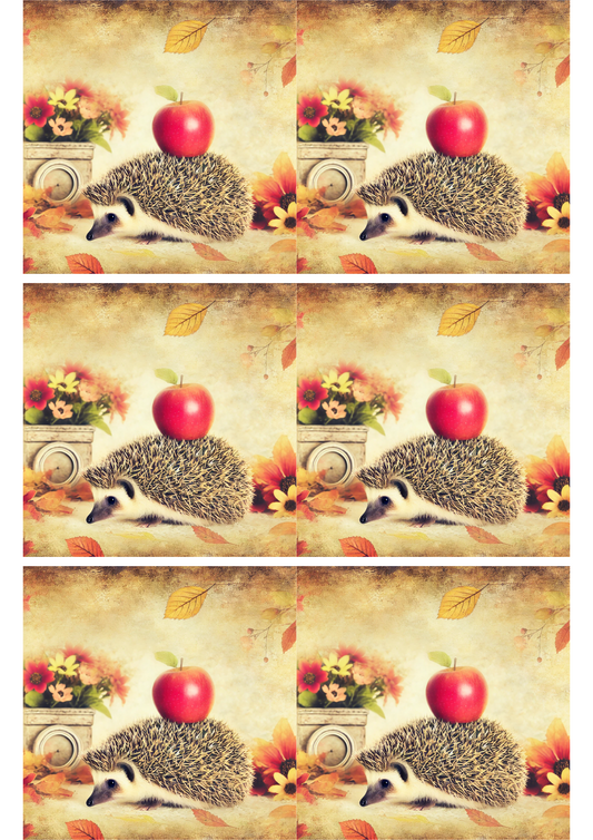 Rice Paper For Decoupage Hedgehog and Apple Collage Cat. No. 2585