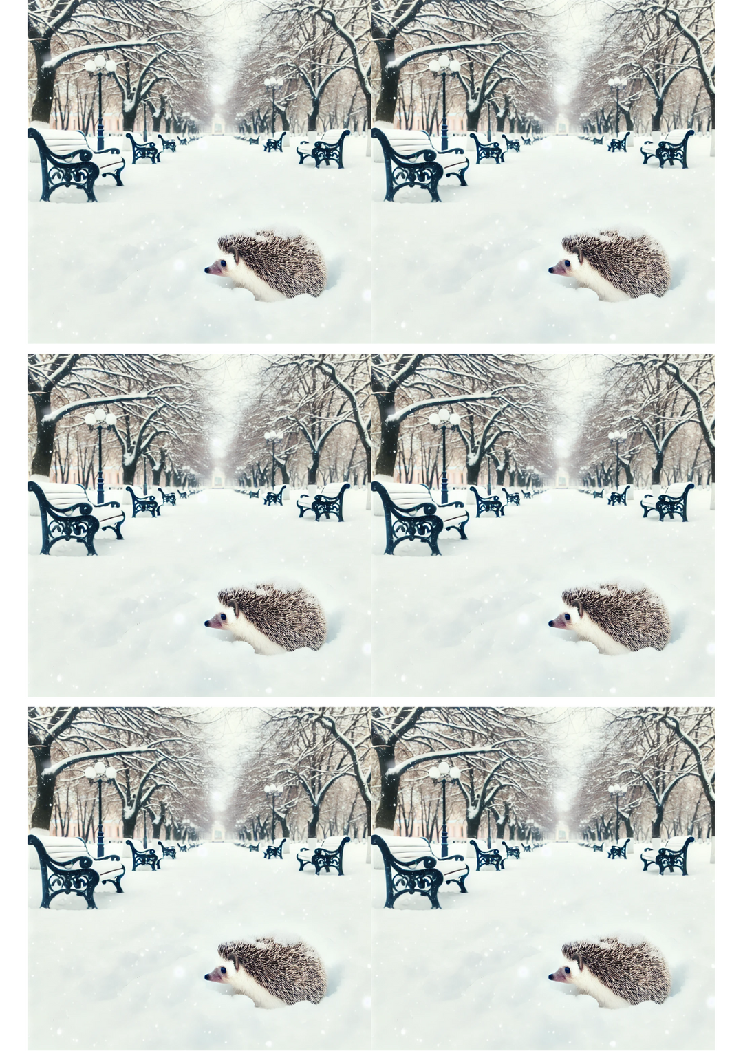 Rice Paper for Decoupage Hedgehog In The Park In Winter Collage Cat. No. 1972