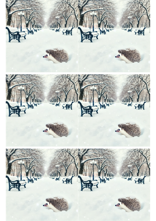 Rice Paper for Decoupage Hedgehog In The Park In Winter Collage Cat. No. 1972