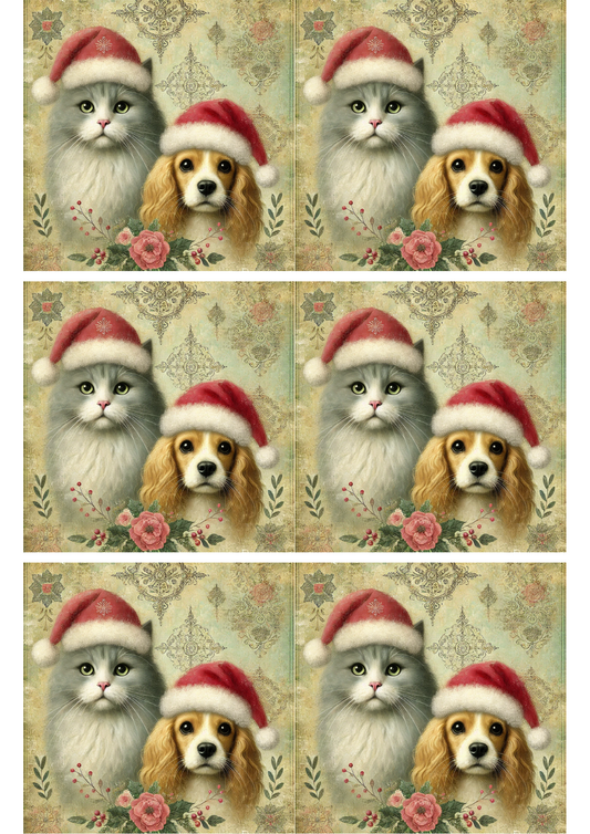 Papier de riz pour collage de chats et de chiens portant des chapeaux de Noël Cat. N° 2030