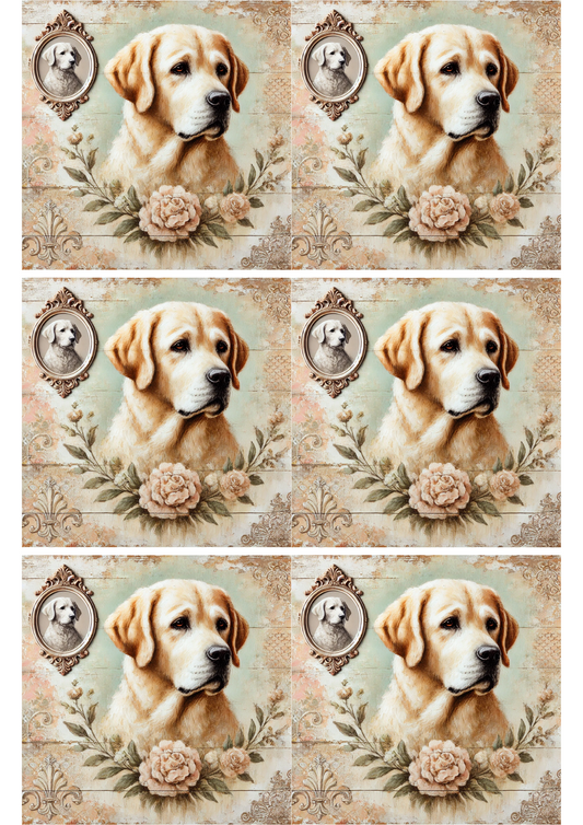 Rice Paper For Decoupage Labrador Shabby Chic Collage, Cat. No. 2064