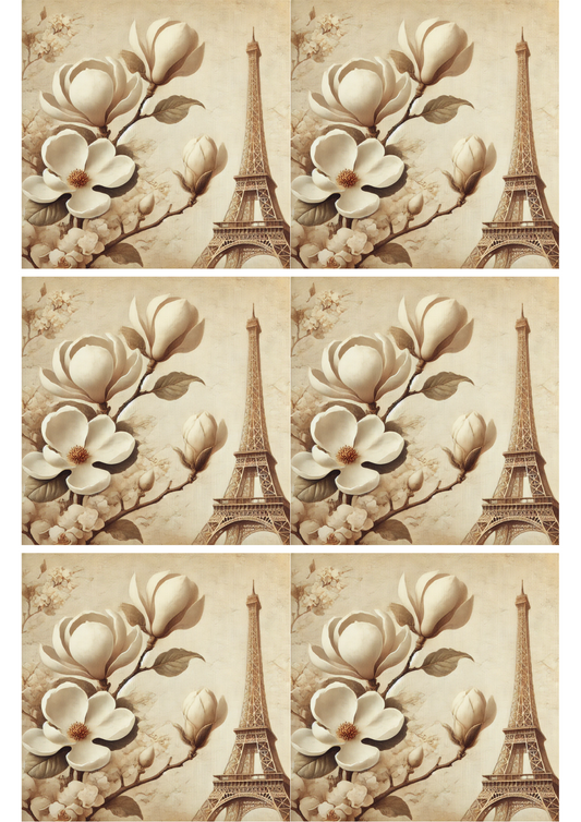 Rice Paper For Decoupage Magnolia In Paris Vintage Collage, Cat. No. 2116