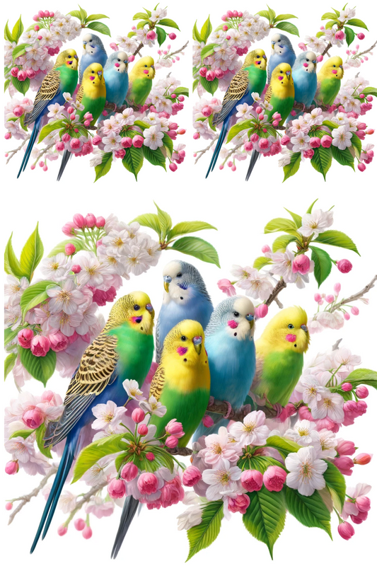 Rice Paper for Decoupage Budgies on Cherry, Cat. No. 252