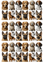 Rice Paper For Decoupage Different Breeds of Dogs Collage Cat. No. 2252