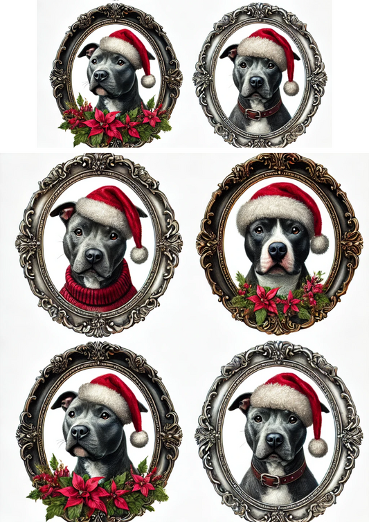 Rice Paper For Decoupage Pitbul In Oval And Christmas Hat Full Cat. No. 3096