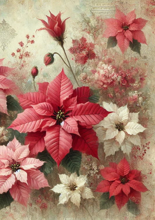 Papier de riz pour découpage Poinsettia Full Cat. N° 2886