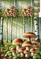 Rice Paper For Decoupage Mushrooms Boletes In Birch Forest Collage Cat. No. 1226