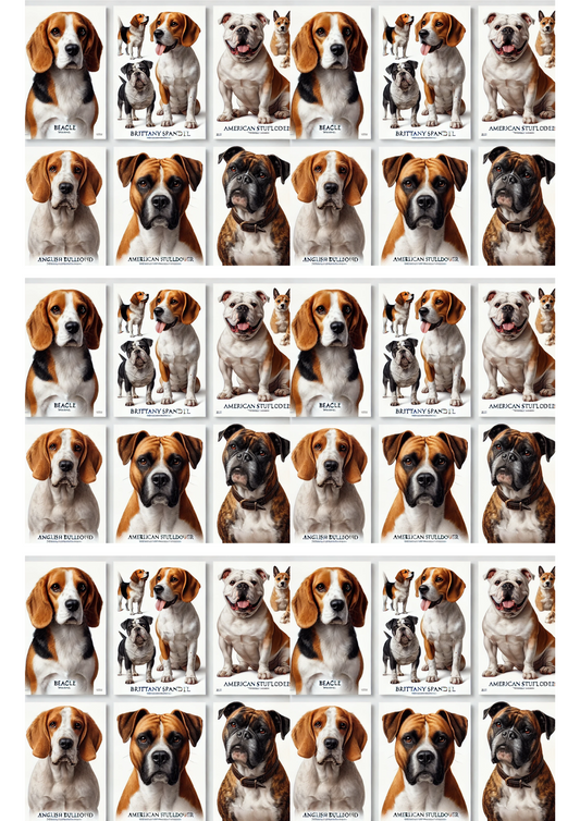 Rice Paper For Decoupage Dogs Mix Collage Cat. No. 3099