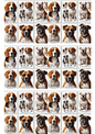 Rice Paper For Decoupage Dogs Mix Collage Cat. No. 3099