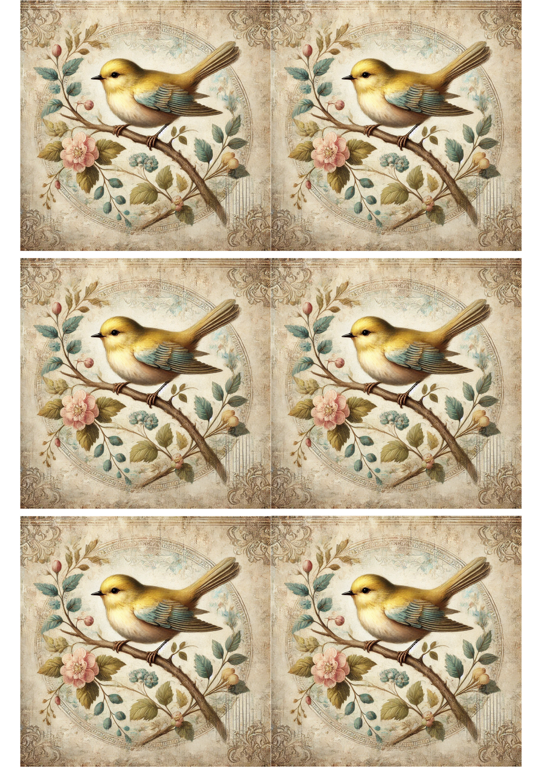Rice Paper For Decoupage Bird On Branch Shabby Chic Collage Cat. No. 2292