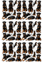 Rice Paper For Decoupage Rottweiler Dog Collage Cat. No. 3117
