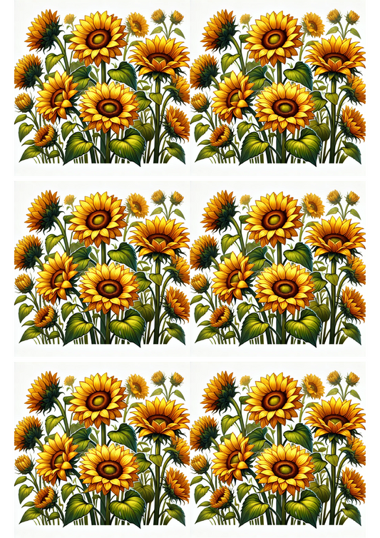 Rice Paper For Decoupage Sunflowers 3 Collage Cat. No. 2457