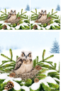 Rice Paper For Decoupage Owl In The Nest On The Fir Tree 2 Collage Cat No. 793