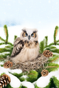 Rice Paper For Decoupage Owl In The Nest On The Fir Tree 2 Full Cat No. 794