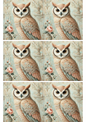 Rice Paper For Decoupage Owl Shabby Chic Collage Cat. No. 2479