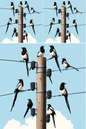 Rice Paper For Decoupage Magpies On Telegraph Pole Collage Cat No. 827