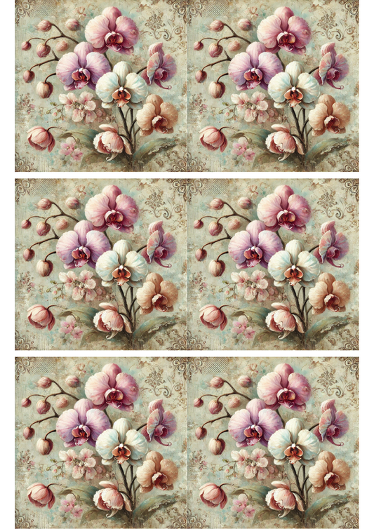 Rice Paper For Decoupage Orchids Schabby Chic Collage Cat. No. 2497